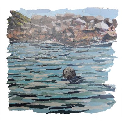 Seal Island by Kirstie Adamson